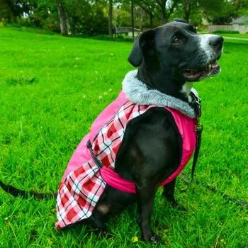 Alpine All Weather Dog Coat - Raspberry Plaid