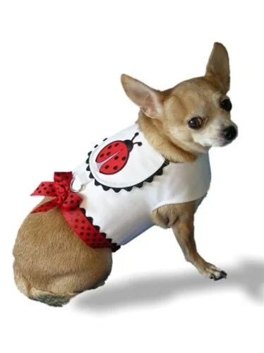 Lady Bug 2 Harness